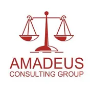 АМАДЕУС КОНСАЛТИНГ ГРУПП, КОМПАНИЯ