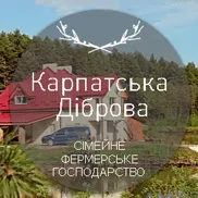 КАРПАТСЬКА ДІБРОВА, КЕМПІНГ ДЛЯ ВІДПОЧИНКУ