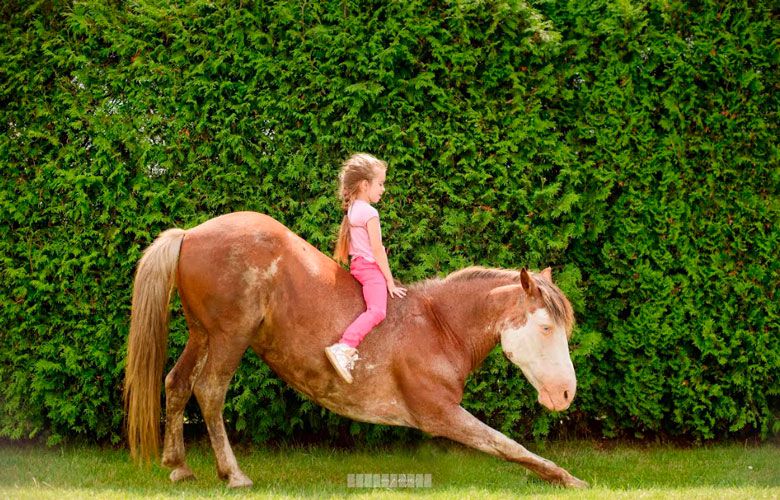 Катання на конях для дітей