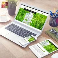Фото — PERFECT CITY, СТУДІЯ ДИЗАЙНУ ТА МАРКЕТИНГУ