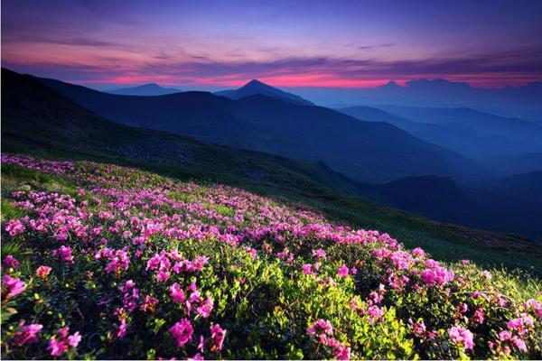 Чорногора, Українські Карпати