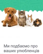 Фото — ПРАЙД, ВЕТЕРИНАРНА КЛІНІКА