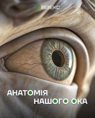 Комплексное обследование вашего зрения