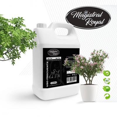 Шампунь Magistral Royal Uso Frecuente