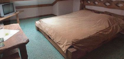 НОМЕР ДВОМІСНИЙ (1 ЛІЖКО)