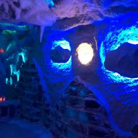 СОЛЯНА КІМНАТА