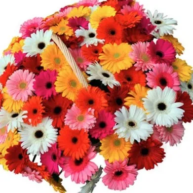 Доставка цветов в Америку - для родных и близких