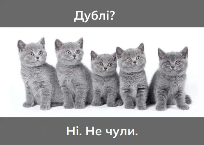 Дублювання контенту на сайті - чим погано і як вирішити проблему?