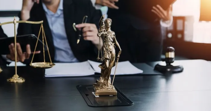 >Миграционный адвокат