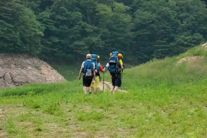 В чем разница между хайкингом, треккингом и туристическим походом?